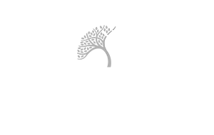 Twin Pines Wealth Management